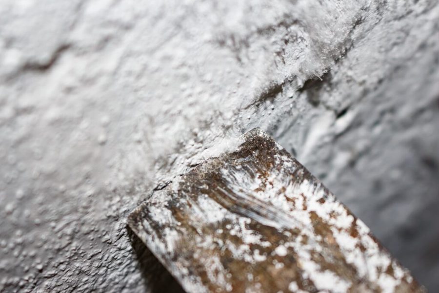 Close-up of damp, peeling paint on a basement wall