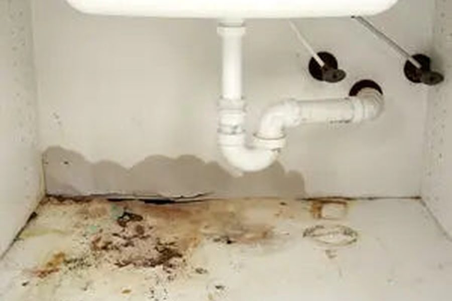 Under-sink view showing water-damaged cabinet floor